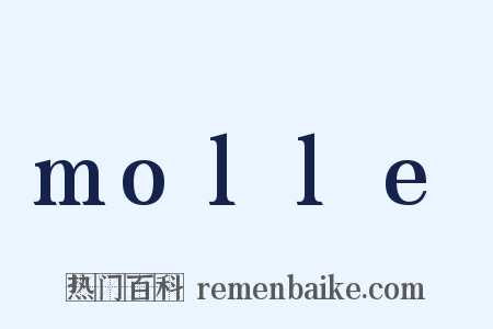 molle是什么意思的图片